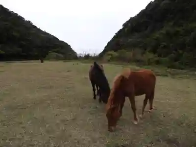御崎神社(宮崎県)