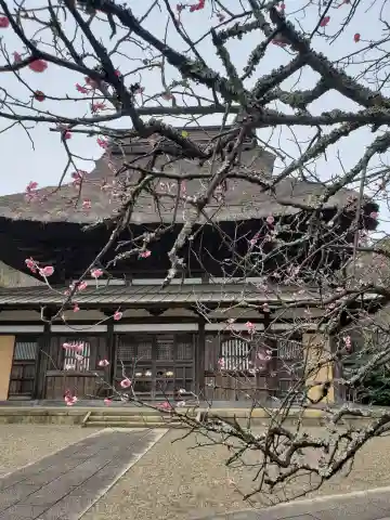 長勝寺の本殿・本堂