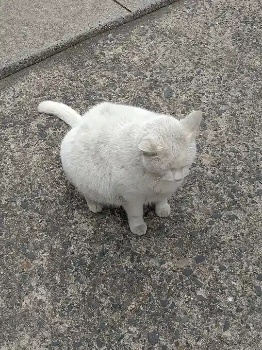 羽黒神社の動物