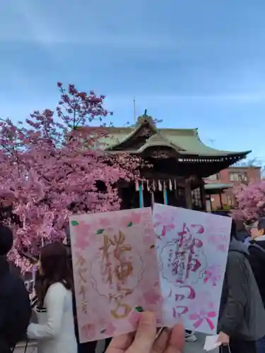 桜神宮の御朱印