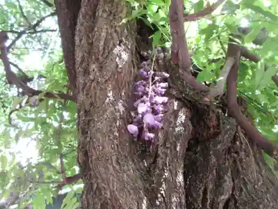 國領神社(東京都)