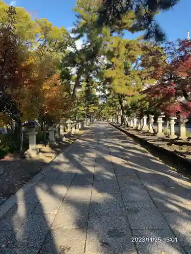長浜八幡宮(滋賀県)