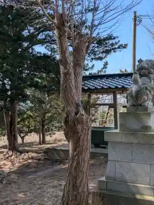 神山稲荷神社の{uncategorized: "未分類", other: "その他", undefined: "問題あり", building: "その他建物", grave: "お墓", sacred_gate: "鳥居", guardian: "狛犬", statue: "像", buddha: "仏像", history: "歴史", nature: "自然", garden: "庭園", animal: "動物", pagoda: "塔", temizu: "手水舎", mountain_gate: "山門・神門", sanctuary: "本殿・本堂", subordinate: "末社・摂社", art: "芸術", scenery: "景色", jizo: "地蔵", ema: "絵馬", goshuin: "御朱印", omikuji: "おみくじ", items: "授与品その他", amulet: "お守り", goshuincho: "御朱印帳", eats: "食事", festival: "お祭り", votive_dance: "神楽", shichigosan: "七五三参", wedding: "結婚式", experience: "体験その他", initially: "初詣", around: "周辺", anti_infection: "感染症対策"}