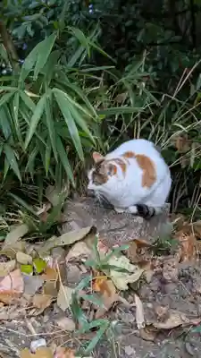 荒木神社(京都府)