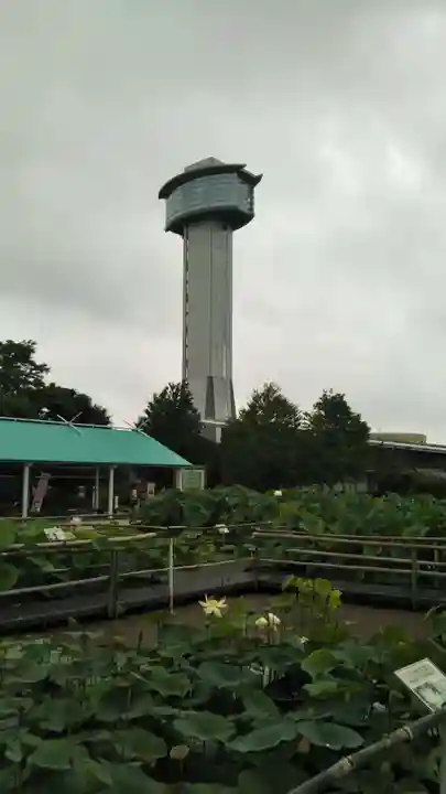 八幡神社の周辺