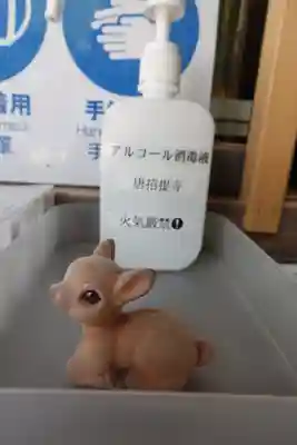 唐招提寺の感染症対策