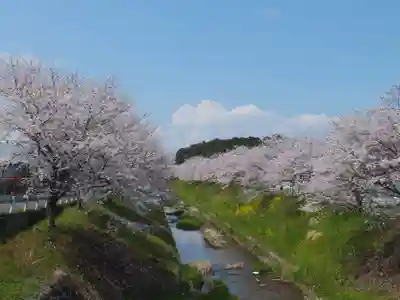 菌神社(滋賀県)
