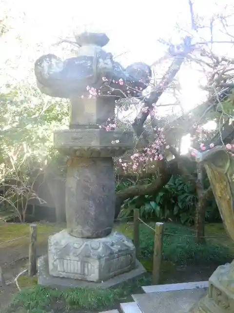 安國論寺(安国論寺)の塔