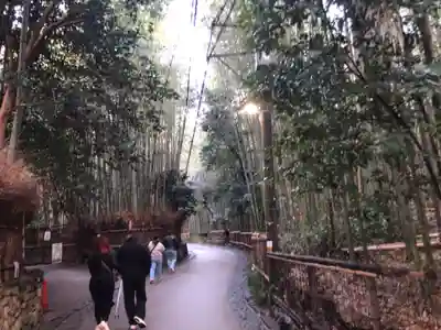 野宮神社(京都府)