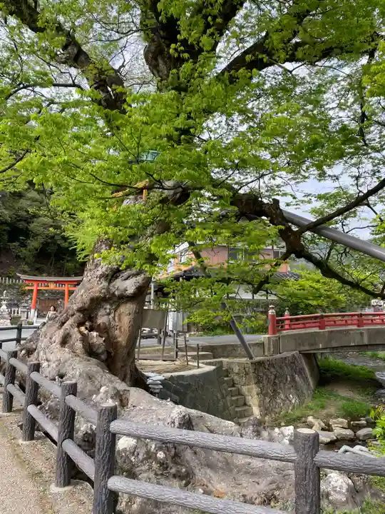 柏原大神宮(兵庫県)