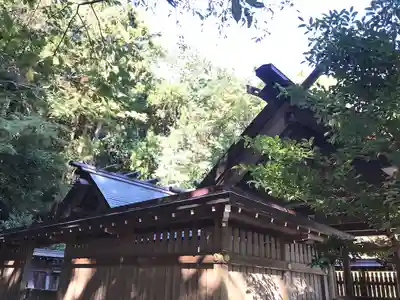 安房神社の本殿・本堂