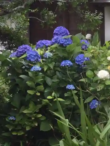 極楽寺（霊鷲山感應院極楽律寺）の自然