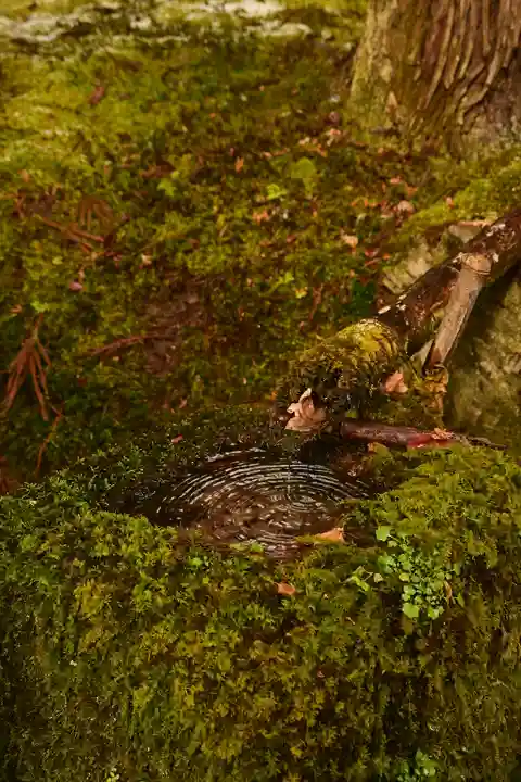 寂光院(京都府)