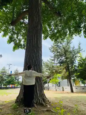 江南神社(北海道)
