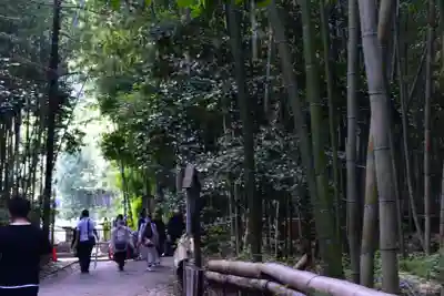 野宮神社の周辺