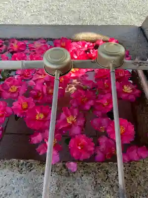 貴布禰神社の手水舎