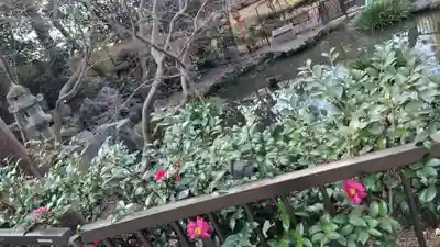 吉田神社(京都府)