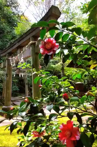 赤坂氷川神社(東京都)
