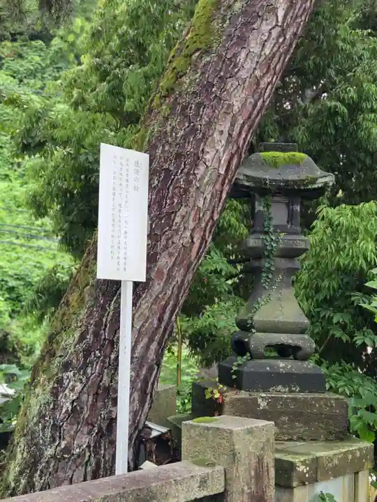 椿原天満宮(石川県)