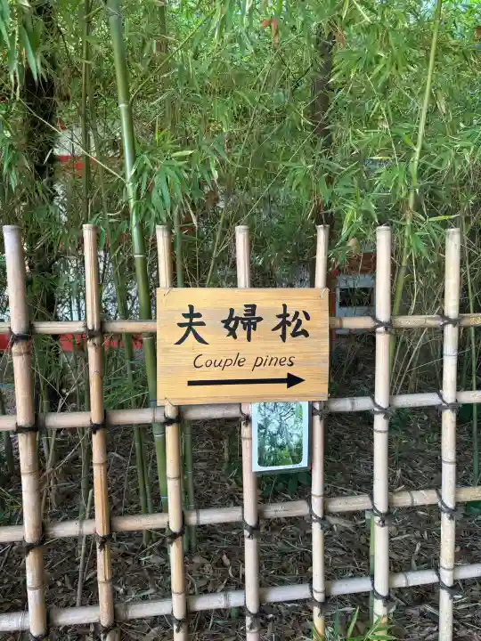 自由が丘熊野神社の{uncategorized: "未分類", other: "その他", undefined: "問題あり", building: "その他建物", grave: "お墓", sacred_gate: "鳥居", guardian: "狛犬", statue: "像", buddha: "仏像", history: "歴史", nature: "自然", garden: "庭園", animal: "動物", pagoda: "塔", temizu: "手水舎", mountain_gate: "山門・神門", sanctuary: "本殿・本堂", subordinate: "末社・摂社", art: "芸術", scenery: "景色", jizo: "地蔵", ema: "絵馬", goshuin: "御朱印", omikuji: "おみくじ", items: "授与品その他", amulet: "お守り", goshuincho: "御朱印帳", eats: "食事", festival: "お祭り", votive_dance: "神楽", shichigosan: "七五三参", wedding: "結婚式", experience: "体験その他", initially: "初詣", around: "周辺", anti_infection: "感染症対策"}