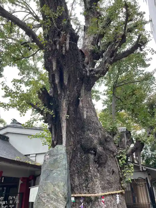 品川寺(東京都)