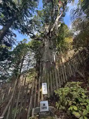 玉置神社(奈良県)