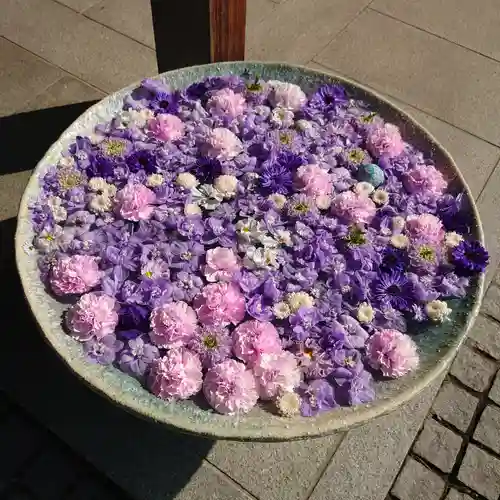 行田八幡神社の手水