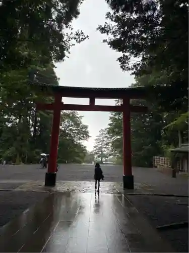 霧島神宮(鹿児島県)