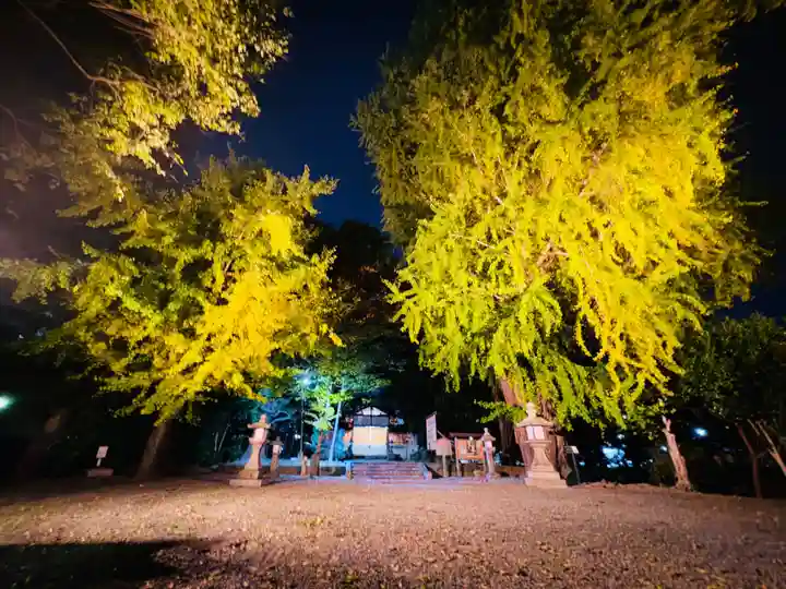三栖神社(京都府)