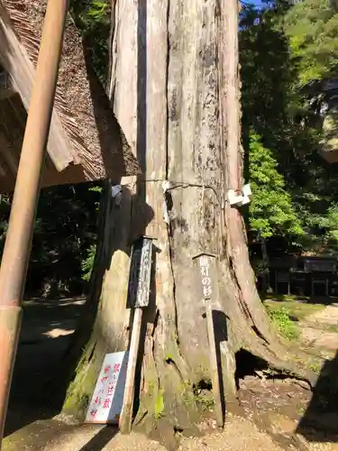 元伊勢内宮 皇大神社のその他建物