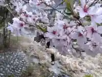 牧ケ洞神社(岐阜県)
