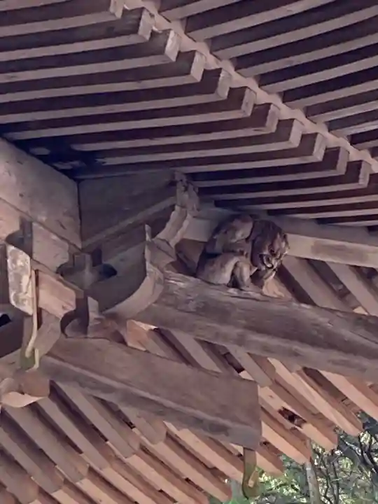 圓教寺のその他建物