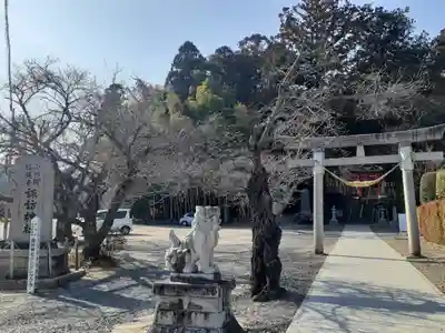 小川諏訪神社(福島県)