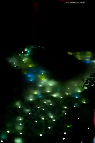 川越氷川神社(埼玉県)