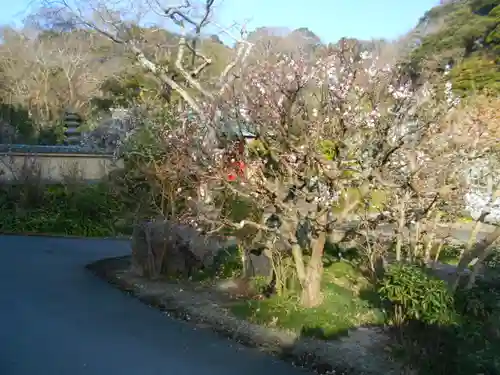 光則寺の庭園