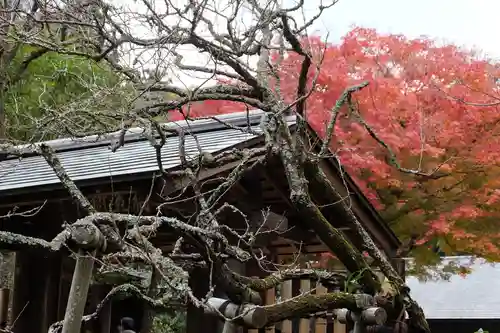 浄智寺(神奈川県)