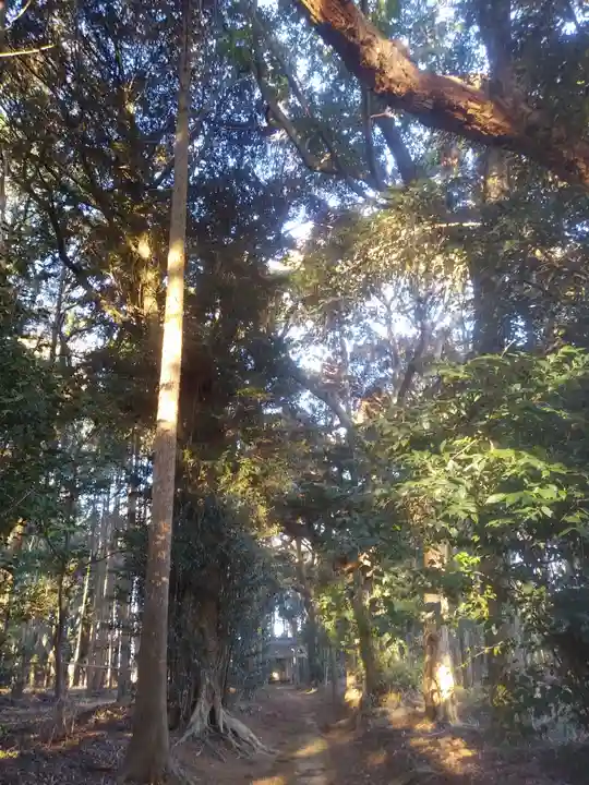 八幡神社の自然