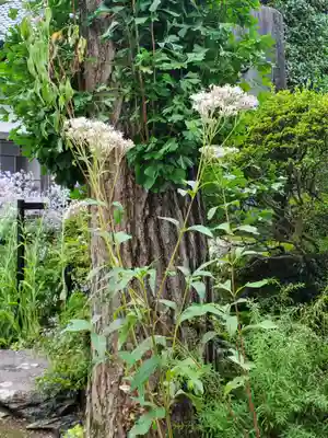 法善寺(埼玉県)