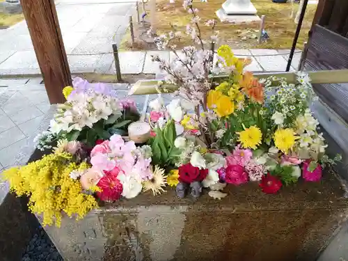 勝林寺の手水舎