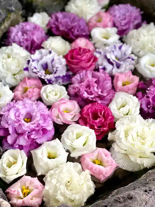 伊達神社の手水舎