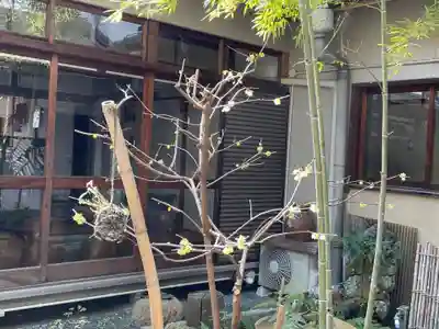 遠照山 光明寺（尼崎大仏）(兵庫県)