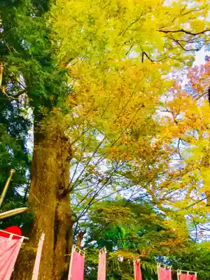 愛宕神社の自然