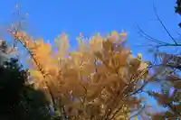 熊野福藏神社の自然