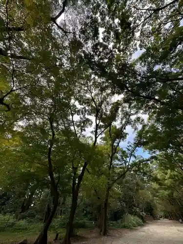 賀茂御祖神社（下鴨神社）(京都府)