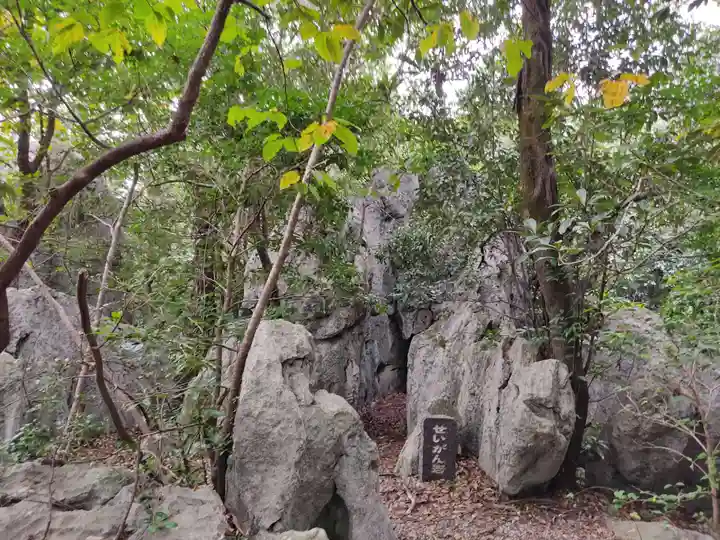 金生山 明星輪寺の自然