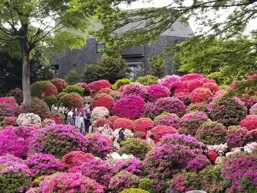 根津神社の庭園