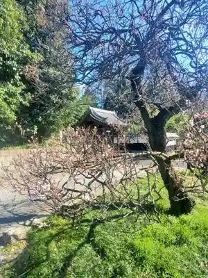 興聖寺(栃木県)