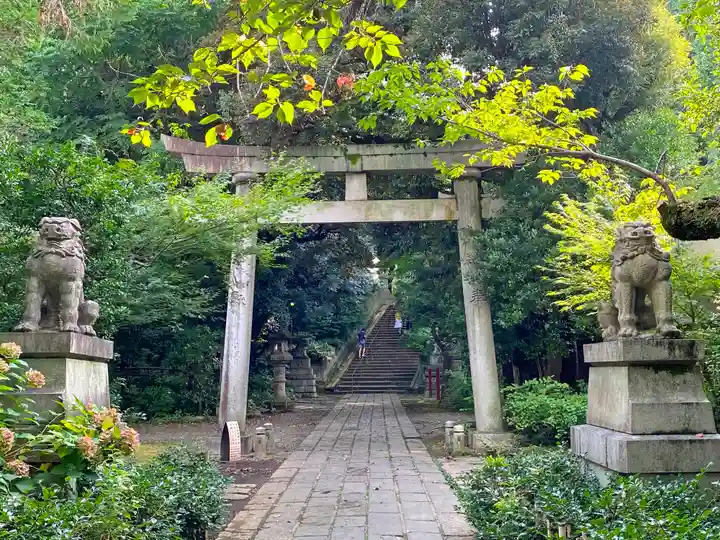 赤坂氷川神社の鳥居