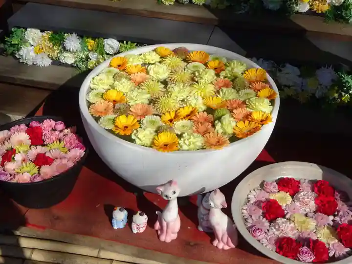 法輪寺の芸術