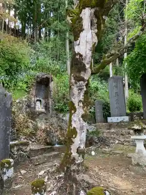御嶽山神社の自然
